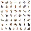 Transfronteiriço 50 Novos Adesivos de Grafite de Animais Africanos para Celular, Mala, Adesivos Decorativos à Prova d'Água, Adesivos de Animais