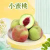 Melocotones pequeños de Qingzhou, Shandong, envío directo 3/ 2.5 kg Fruta pequeña, dulce y jugosa, melocotones jugosos de temporada, fruta fresca