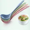 Atacado Um Yuan Médio Longo Cabo Mingau Palha de Trigo Colher Doméstica Cozinha Plástico Colher Barraca de Rua Suprimento