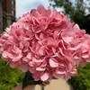 5 Hortensias Estilo FrancésBolas de Flores Populares para Bodas, Accesorios de Pared de Flores para Sesiones de Fotos, Decoración del Hogar, Arreglos de Boda