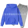 Conjunto de Moletom com Forro de Lã para Meninos e Meninas Outono e Inverno Conjunto de Duas Peças com Capuz Calça de Moletom de Manga Longa para Crianças