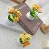 Flores de Hilo Tejidas a Crochet, Tulipanes Pequeños en Maceta, Girasoles, Regalos para Mejores Amigos y Parejas, Regalos de Boda, Flores Conservadas, Flores Secas
