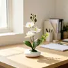 Três Flores Duas Folhas Uma Folha Orquídea Phalaenopsis Planta em Vaso Simulação Mesa de Jantar Hotel Sensação Flor Artificial Bonsai de Pedras Ornamentação de Planta Verde