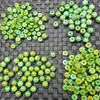 Contas Estilo Antigo Turquesa de Imitação, Contas Soltas Jade de Imitação, Contas Redondas Jade Verde Escuro, Contas Espaçadoras, Contas para Acessórios de Joias