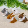 Boutique de Conejitos Imitación Mini Set de Cuatro Conejos Artesanías Hechas a Mano de Alta Gama Joyería Regalo Conejito de Peluche Lindo