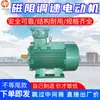 Motor de Regulação de Velocidade por Resistência Magnética à Prova de Explosão para Minas Sistema de Acionamento de Regulação de Velocidade por Resistência Magnética Motor de Regulação de Velocidade para Minas
