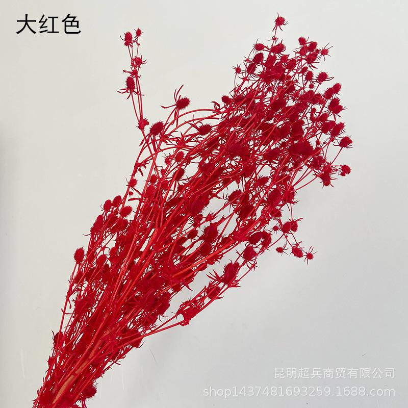 QQ图片20211215151130.jpg