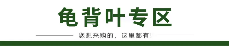 未标题-2_01.jpg