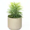 Fondo de Pared de Plantas Suculentas Césped Artificial Suculentas en Maceta Flores de Plástico Marco de Fotos 3D Decoración Adornos de Bonsái