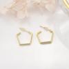 Versión coreana de chapado en cobre color oro real de 18 quilates que conserva el color, doble capa hueca, lote de flores, pendientes para mujer, joyería, pendientes populares estilo Ins