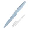 Fabricante de Yangjiang Suministra Cuchillos de Fruta de Alta Gama para Comercio Exterior, Cuchillos Portátiles Domésticos Afilados, Cuchillos de Acero Inoxidable, Cuchillos de Pelar