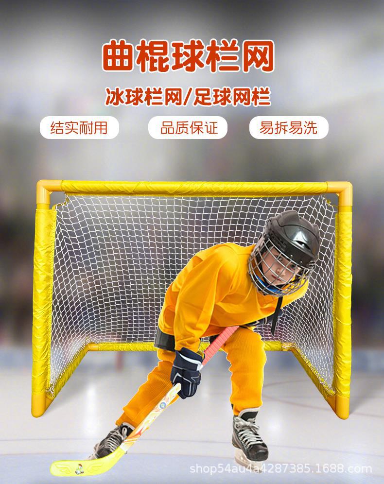 hockey goal (2).jpg