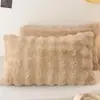 Par de Fronhas de Pelúcia de Pelo de Coelho para Inverno, Espessadas com Veludo de Leite, Capa para Enchimento de Travesseiro de Fleece Coral, Peça Única