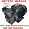 Bomba de Vórtice Multiestágio Zhejiang Aolong 1/4DWL-550 Gerador de Vapor de Aquecimento Elétrico Bomba de Água da Caldeira Bomba de Água de Alta Pressão