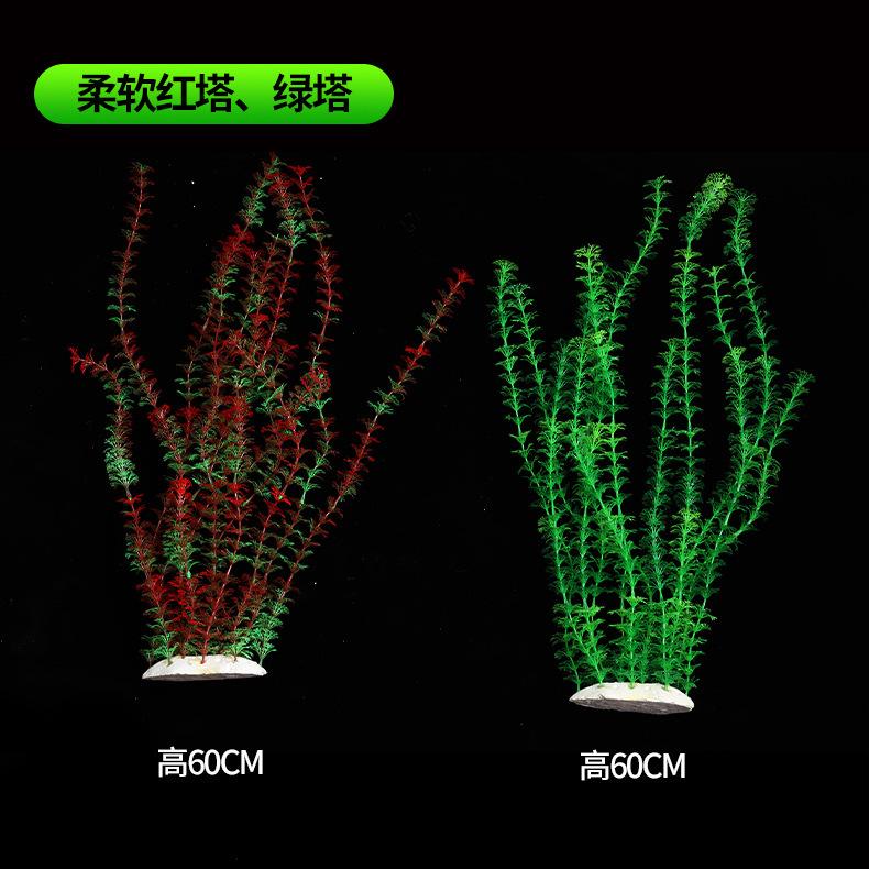 水草1_07.jpg