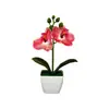 Mini 3 orquídeas artificiales Phalaenopsis en macetas aterciopeladas, suministro de exportación directa, flores artificiales de tacto realista, bonsái, accesorios para fotografía