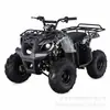 Mini Buggy de Playa Eléctrico, Mini ATV Recargable, Vehículo Todoterreno Pequeño de Cuatro Ruedas 100% Eléctrico 36V800W, Little Bull