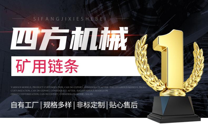 12矿用链条_02.jpg