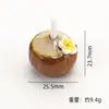 Simulación Paja Coco Plumeria Resina Accesorios Llavero DIY Hecho a Mano Pegamento Crema Micro Paisaje Adornos Materiales