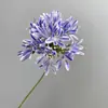 Minimalista Nicho Estilo Europeo Agapanto Artificial Flores Artificiales para Hogar Sala de Estar Comedor Exhibición Decoraciones de Boda Florales