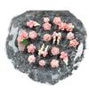 Ins Estilo Nail Art Material Saco Amarelo Rosa Resina Arco Nail Art Jóias Misturado Brincos Luminosos Nail Art Ornamentos de Diamante