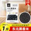 Arroz Negro do Nordeste, Arroz Negro Fragrante da Nova Safra da Fazenda Wuchang 2024, Grãos Integrais Cultivados em Casa, Arroz Integral, Grãos Grossos, Bolinhos de Arroz, Ingredientes para Mingau