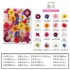 Flor Seca DIY Grabado DIY Paquete de Material Grabado Mascota Pétalo Marcapáginas Flor Real Pegamento Hojas Secas Especimen de Planta
