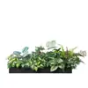 [Série Hc-An7] Caixa de Flores de Planta Verde Simulada Decoração de Sala de Estar Interna Janela de Chão a Teto Paisagismo Fotografia de Casamento Estrada