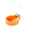 Nueva mascota salida acompañante taza portátil cordón plegable botella de agua gran capacidad botella de agua para beber cuenco para perro taza de agua transfronterizo