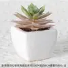 Suculentas Artificiais Personalizadas Bonsai de Cerâmica Plantas Verdes Escandinavas Enfeites Casa Interior Sala de Estar Flores Artificiais Suculentas em Vasos