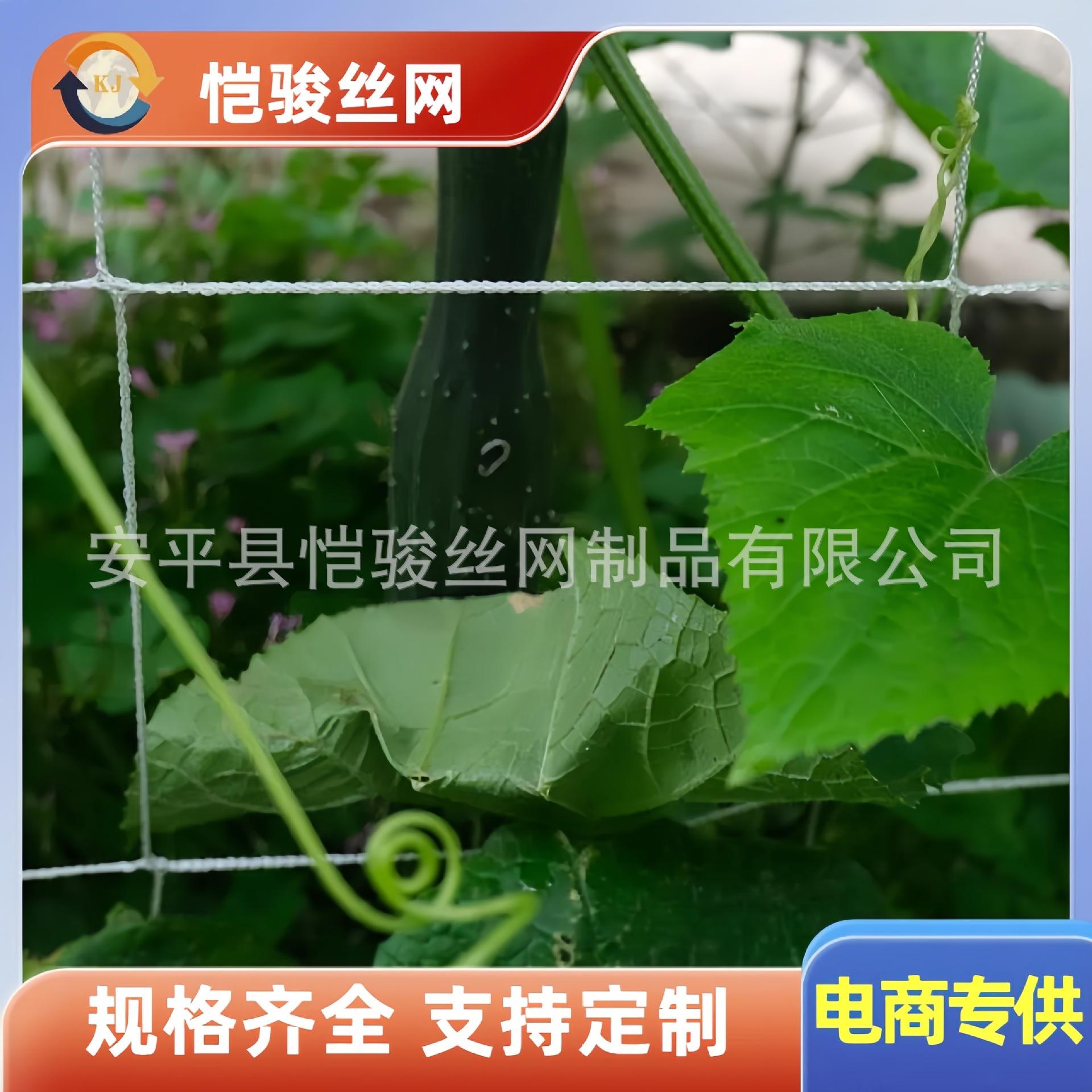 植物网爬藤网攀爬网 (81).jpg
