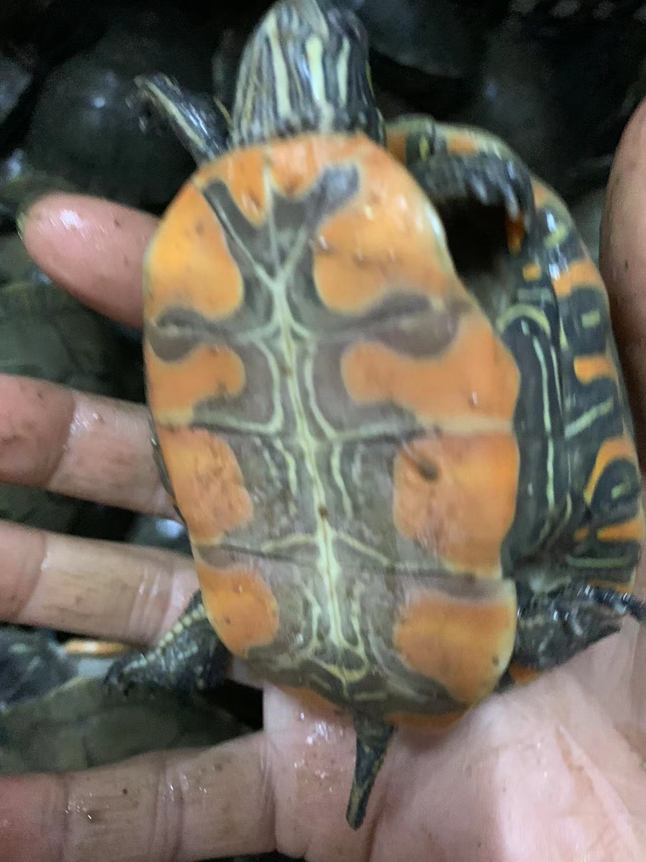 微信图片_20220213170014