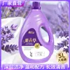 Detergente de Lavar Roupa de Lavanda em Garrafas Grandes de 5kg Mais Vendido com Fragrância Duradoura para Uso Doméstico, Caixa Inteira Atacado, Brindes Promocionais, Atacado, Fragrância Duradoura