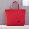 Bolsa de Almacenamiento para Colcha de Aire Acondicionado Laminada de Tela No Tejida, Bolsa Portátil con Cierre de Botón a Presión y Cremallera, Se Puede Imprimir con Logo, Venta al por Mayor desde el Fabricante