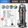 Bomba Sumergible de Marca 220V Modelo del Pueblo Alta Presión Gran Caudal Bombeo de Agua Bomba de Agua Riego de Tierras Agrícolas Bomba de Agua de Gran Caudal