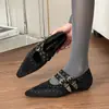 Sapatos Flats Mary Jane de Rebite Dupla Face com Pelúcia para Mulheres, Solas Macias, Confortáveis para o Dia a Dia, Sapatos Versáteis para Mulheres, Sapatos Casuais para Outono e Inverno