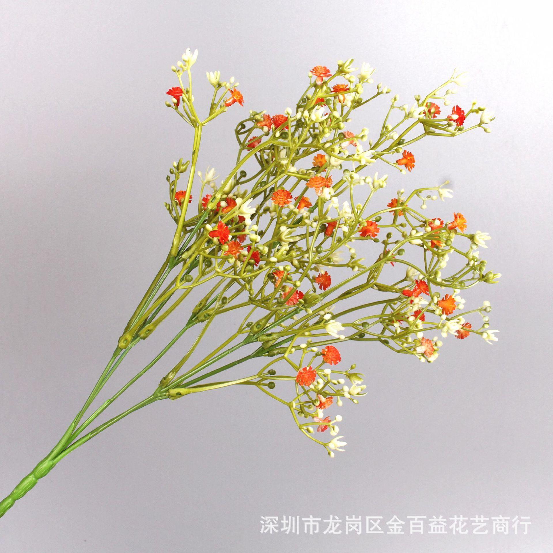 IMG_0557_副本.jpg
