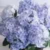 Plántulas de hortensia de verano sin fin en maceta, flores de floración de cuatro estaciones, plantas verdes, resistentes al frío, para interior, balcón, patio, flores de pila vieja