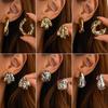 Moda Transfronteriza Europea y Americana Estilo Ins Pendientes Colgantes Sexys con Estampado de Leopardo para Mujer Pendientes Geométricos Irregulares en Forma de C de Resina Creativa