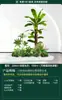Set de Paisajismo Simulado para Exhibidores de Ventanas Interiores, Decoración de Escaleras, Paisaje de Plantas Verdes Simuladas, Arreglo de Jardín, Adornos de Decoración de Plantas en Maceta