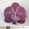 Tiara de Cabeça com Flor de Orquídea Phalaenopsis Artificial, Presilha de Cabelo Famosa na Internet, Acessório de Cabeça, Lembrança, Adequada para Decoração de Casamento, Ornamento de Móveis, Flor Artificial