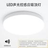 Lámpara de Techo LED a Prueba de Agua, Polvo y Golpes con Control de Sonido y Luz, Sensor de Radar, Detección de Movimiento Corporal, Luz de Pasillo, Inteligente, Moderna, Minimalista