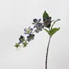 Colgante de planta Fruto de aliso Pegamento suave Fruto de frijol del amor Colgante de pared Decoración de paisajismo Accesorios para arreglos florales Seda suave