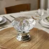 Armário Moderno Simples Porta Acrílico Transparente Cristal Maçaneta Fashion Plástico Furo Único Prato de Frutas Maçaneta de Gaveta Contas Superiores