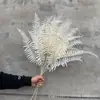Directo de fábrica simulación 5 horquillas hoja persa hoja fruncida hierba hierba acacia rama única hoja persa flor de plástico flor de simulación para boda