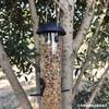 Comedero para Pájaros Exterior Amazon Comedero Colgante Limpieza Removible A Prueba de Viento Comedero Automático para Pájaros Venta al Mayoreo