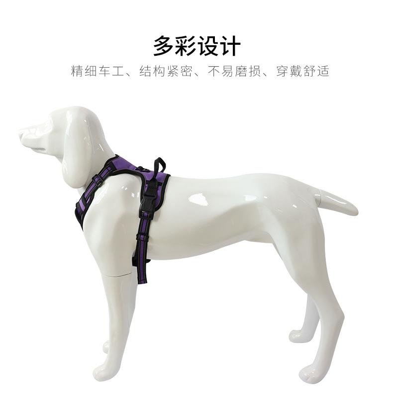 详情_11.jpg