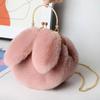 Bolsa Pequena Transversal de Ombro Único com Orelhas de Coelho Feminina, Novo Estilo Outono e Inverno, Bolsa de Mão Fofa de Pelúcia Off-White Estilo Soft Girl
