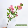 Simulação Lilás com Folha Osmanthus Qilixiang Casa Sala de estar Decoração Flor Organizar Fotografia Janela Verde Planta Ornamentos