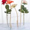 Vaso Hidropônico de Vidro Transparente Estilo Ins Nórdico Fonte Transfronteiriça Plantas de Arte Floral Decoração de Arranjo de Flores para Casa